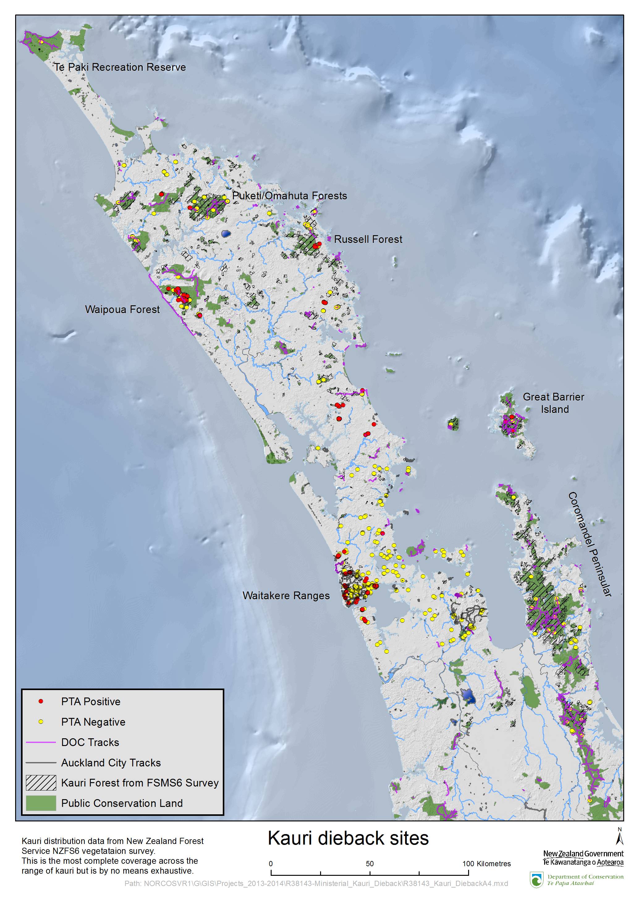 Kauri dieback detected in Coromandel Beehive.govt.nz